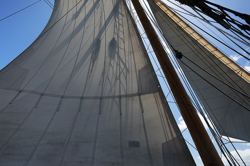 Sail on the R Tucker Thompson, Bay of Islands, NZ